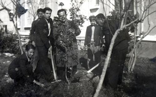 1940 Akhisar, Oğuz Tansel, Müdür Vehap bey okul bahçesinde gül fidanlarını değiştirirken.